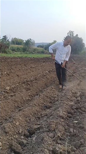 कळ्या मातीच्या रुपान वेड लावलं..🌾🌿✌️#माझी शेती माझा अभिमान..🌾🌿✌️#farming #शेतकरी #शेतकरीbrand
