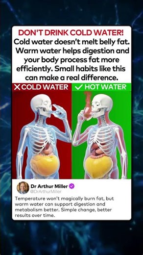 Hot vs Cold Water: What Happens to Belly Fat Inside Your Body