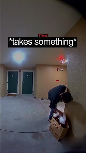 Thief Caught Red Handed On Camera