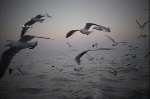 Leila Turkish Song: Discover the Meaning and Background