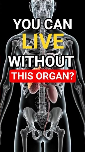 Your Body Can Adupt Without Thi #health #facts