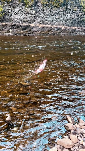 David Hart (@innudavidhart)’s videos with original sound - David Hart