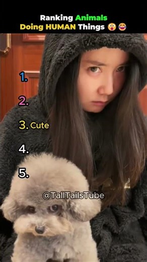Ranking Animals Doing HUMAN Things 😮😂 #shortsviral #funnyanimals #animalranking