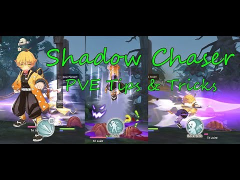 Shadow Chaser DD PVE Build! Quick Tips and Tricks! First Impression? || Ragnarok X: Next Generation