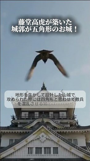 №０２２藤堂高虎が築いた城郭五角形の名城！宇和島城！【伊予】 #お城巡り #文化財 #城好き #宇和島城 #藤堂高虎