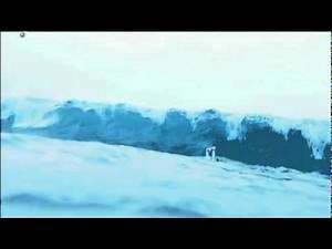 Dolphins Saves Surfers Life