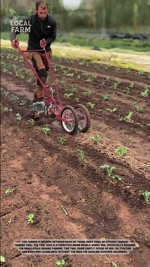 Efficient Weed Control: Using the Terrateck Double Wheel Hoe in the Field