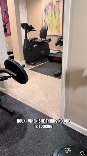 Celebrate House Music All Night Long with Roux