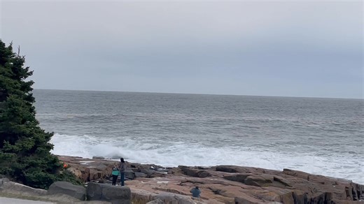 Schoodic snippet 10/13 🌊🌊🌊 | Bar Harbor to Winter Harbor Ferry