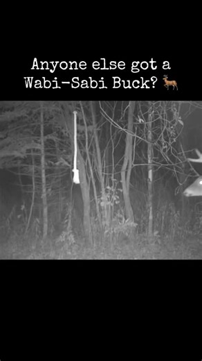 Nothin better than a good goofy buck! 🦌🏹📸 https://bit.ly/HODAGHempScentRope #deerhunting #bowhunting #whitetaildeer #hunting #mockscrape #hodagoutdoors #goofybuck #funny #viral | HODAG Outdoors