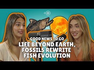 Proof of Life on an Exoplanet, Refugee Storytelling & a Heroic Dog | Episode 019: Good News To Go