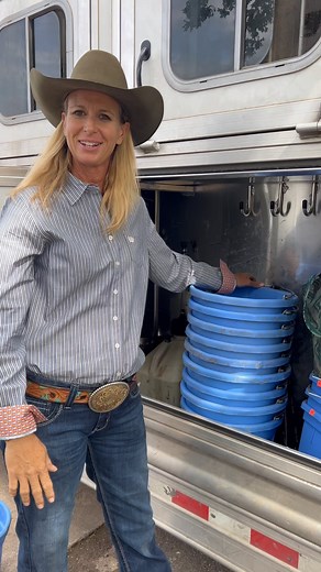 Classic Equine on Reels