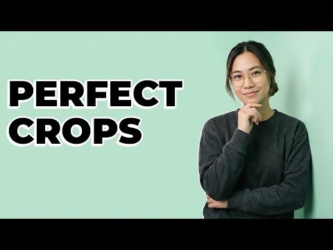 What options help refine the image crop in Photoshop?