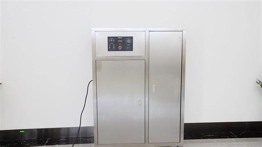 Feili Factory 100Gr/H Ozone Generator 220V Ozonator for Big Swimming Pool Water Treatment 1-Year Warranty