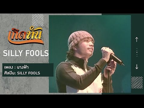 【เกิดทัน】นางฟ้า - SILLY FOOLS