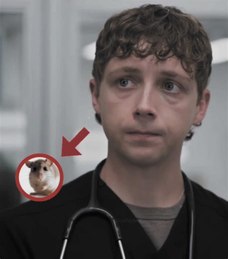 i Need to put Him in my Pocket. He will live in There with a Cube of cheese and a small Lamp. Ok. #fyp #thepitt #thepittedit #denniswhitaker #denniswhitakeredit cc pc: sweetlydevoted dts: @v @rory 🐑 @𓏲ּ𝄢 @m ♱ @s :3 @petra @gianna @vii ୨ৎ @orlology @Sappy @javadisms @elyse🧟‍♂️ @mackie 67 @gs the pitt edit the pitt season 2 the pitt s2 dennis whitaker edit gerran howell edit venus as a boy bjork edit audio