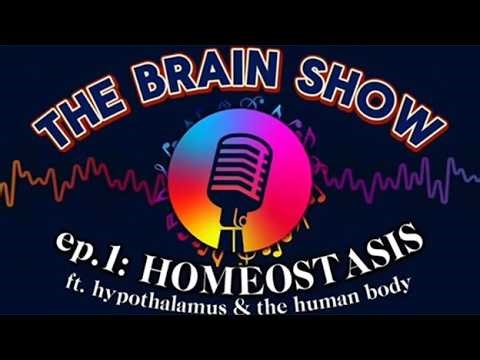 The Brain Show: Homeostasis