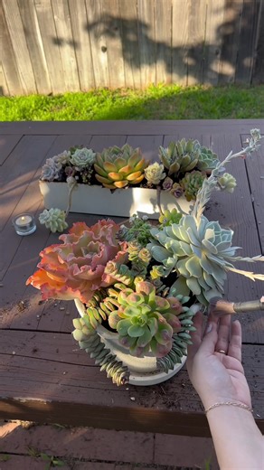 Beautiful planter is from @Walmart ☁️🌼✨🌱 #succulents #succulentarrangement #planting #relaxing #plantsoftiktok