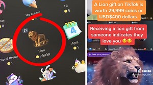 TikTok Lion Gift | Know Your Meme