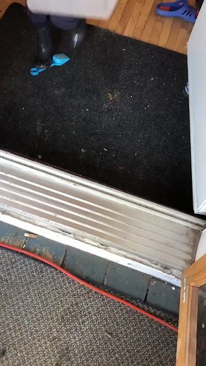 Fun Pool Day: Child Exploring Backyard with Adult