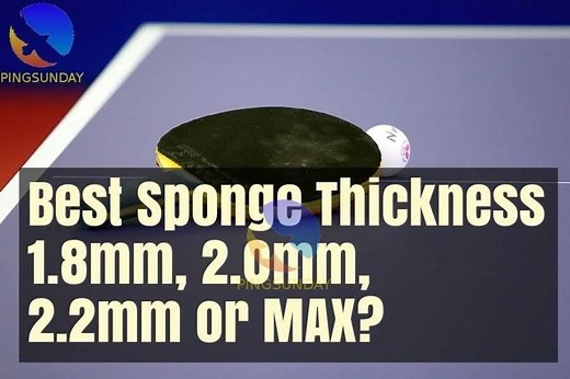Effect of Rubber Sponge Thickness in Table Tennis - PingSunday