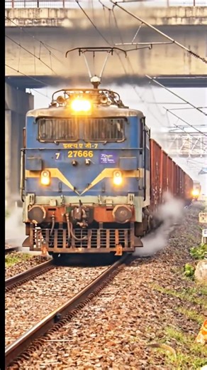 Freight Locomotive of Indian Railway: WAG7