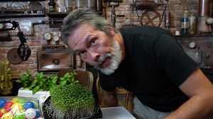 Kratky Hydroponics meets Disneyworld coming soon. | Keep on Growin'