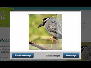 SimpleCMS