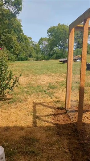 What Is This Barn Cat Doing #barncat #catsoftiktok #cat | BIG Feathers Farm | Facebook