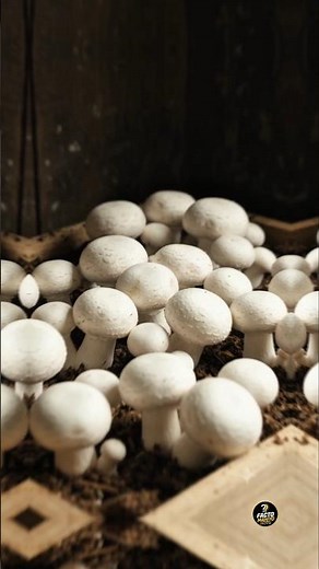 🌱 5 Amazing Home Gardening Ideas You Must Try! 🤯🌿 #shorts