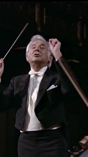 Beethoven - Symphony No. 4 (Mvmnt. 1 Excerpt) | Leonard Bernstein - Vienna Philharmonic