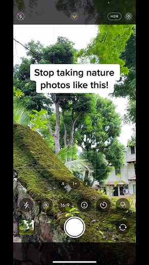 Enhance Your Nature Photography Skills with Expert Tips