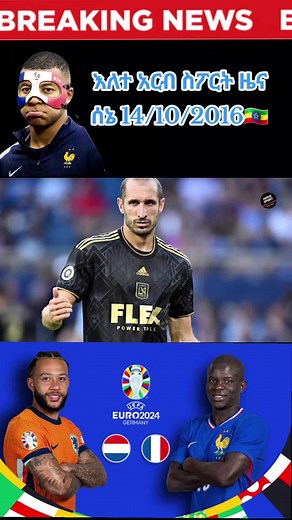 Exploring European Championship Football Highlights