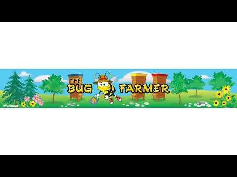 In the shop building bee boxes for Bug Farmer Hiveworks