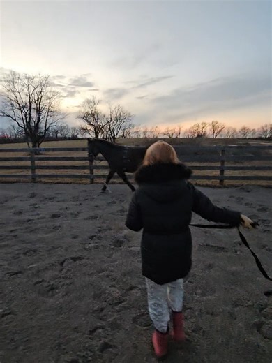 being an equestrian is a lot more than just riding ❤️ #equestrian #horsesontiktok #pferde