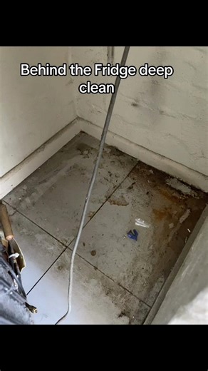 Behind the Fridge Deep Clean: Tips and Tricks