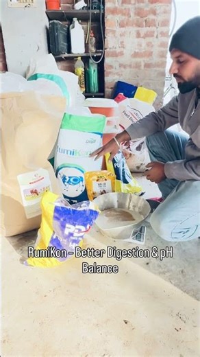 Daily Nutrition Supplements for Dairy Cows | Haldi, Yeast & Bypass Fat