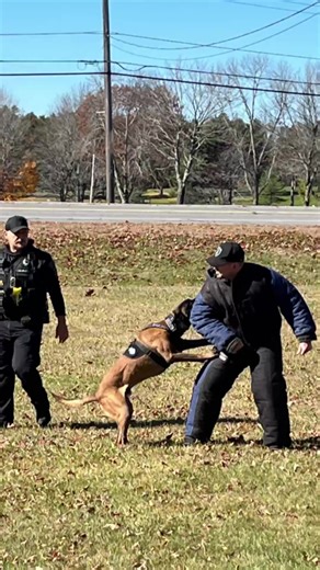 Watch Winchendon and Gardner K-9 officers Blitz and Rocky in action | The Gardner News