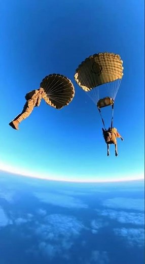 Military K9 HALO Jumps From CV-22 Osprey With Special Forces