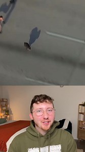 Here are the Top 5 Dogs of the week! | We Rate Dogs