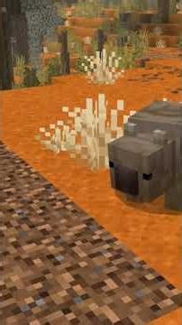 Animales Australianos (Wildlife Craft) Por Compycraft