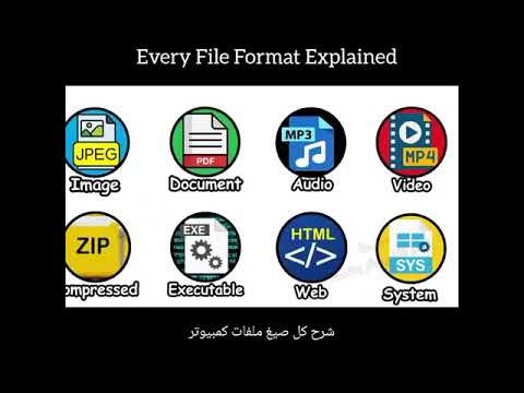 Every File Format Explained Explaining each computer file format#FileFormats #DigitalFiles #TechTips