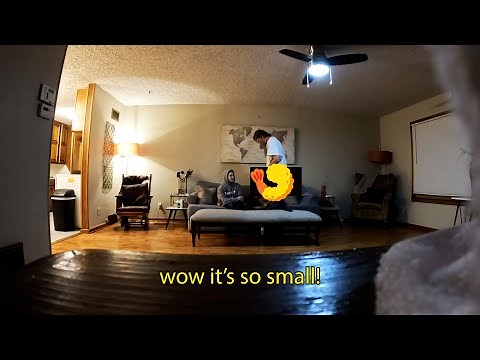 Pred Walks in and Whips Out His Meat! (with ‪@daydrian‬ )