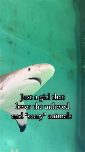 Just a girl that loves the unloved and “scary” animals…. All creatures are special and have their own unique qualities and characteristics that make this world so unique and beautiful. We need to protect these amazing creatures and the world we all live on. #conservation #animallover #scary #weirdanimals #animalconservation