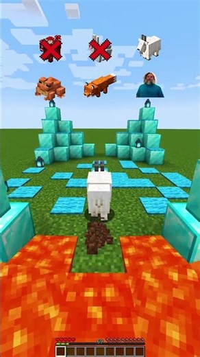 Minecraft Lava Volcano Crossing Vs Every Mobs