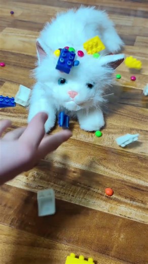 Tiny Cat ASMR for Quick Relax 🐱