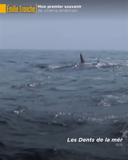 Festival de Deauville on Instagram: "✏️ Émilie Tronche, membre du Jury de #Deauville2025, nous partage les trois films américains qui ont façonné sa culture cinématographique : 🦈 Les Dents de la mer, Steven Spielberg, 1975 🌻 Gilbert Grape, Lasse Hallström, 1993 🎬 Lady Bird, Greta Gerwig, 2017"