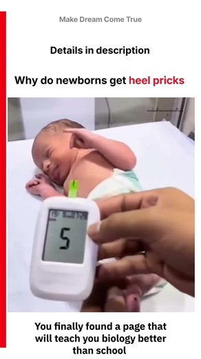 👶 Why do newborns get heel Pricks 🧪 | MDCT