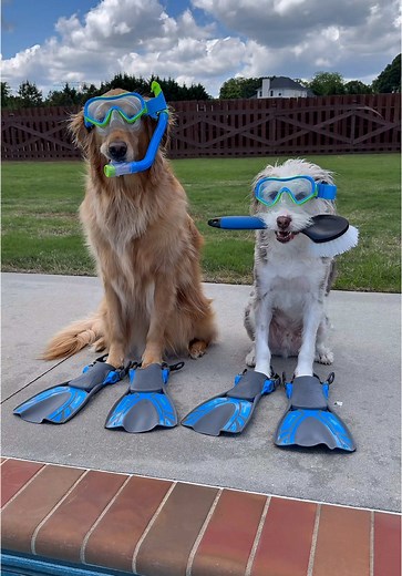 AquaSense 2 Ultra: The Ultimate Robotic Pool Cleaner