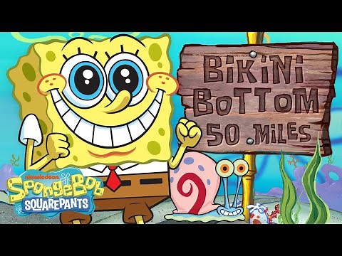 Tour Bikini Bottom 🏝️ w/ SpongeBob! | 60 Minute Compilation | ‪@SpongeBobOfficial‬